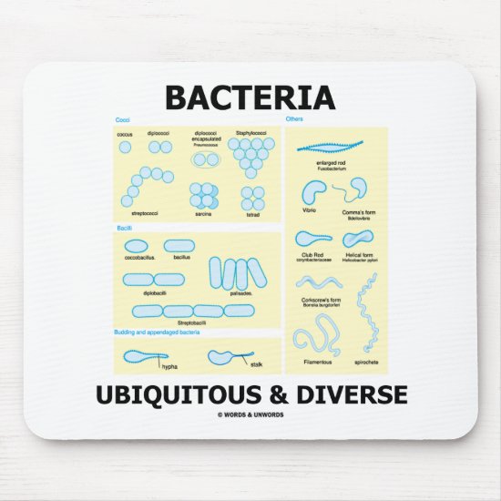 Bacteria Ubiquitous & Diverse (Shapes & Sizes) Mouse Pad
