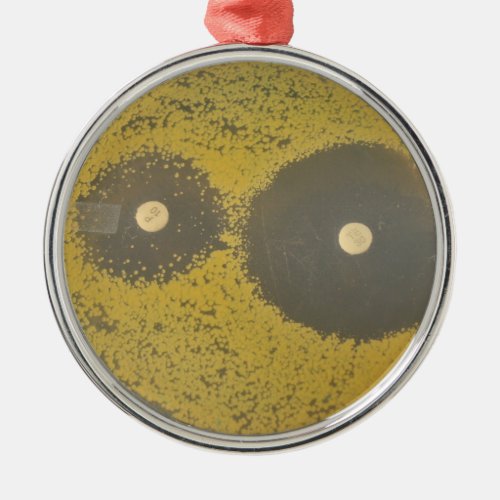 Bacterial antibiotic susceptibility metal ornament