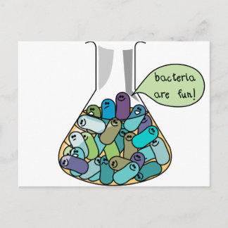 Bacterial Culture Postcard