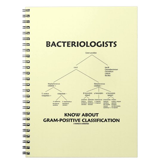 Bacteriologists Know Gram-Positive Classification Notebook