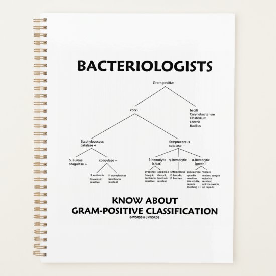 Bacteriologists Know Gram-Positive Classification Planner