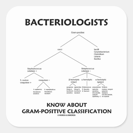 Bacteriologists Know Gram-Positive Classification Square Sticker
