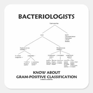 Bacteriologists Know Gram-Positive Classification Square Sticker