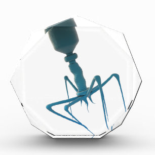 bacteriophage award
