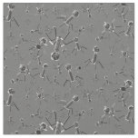 Bacteriophage Gray Fabric