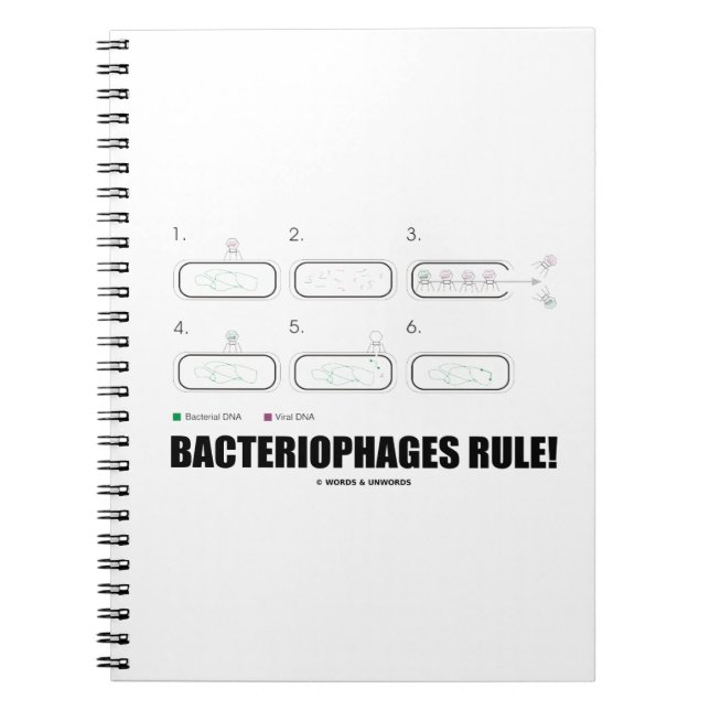 Bacteriophages Rule! (Bacteria Virus DNA) Notebook (Front)