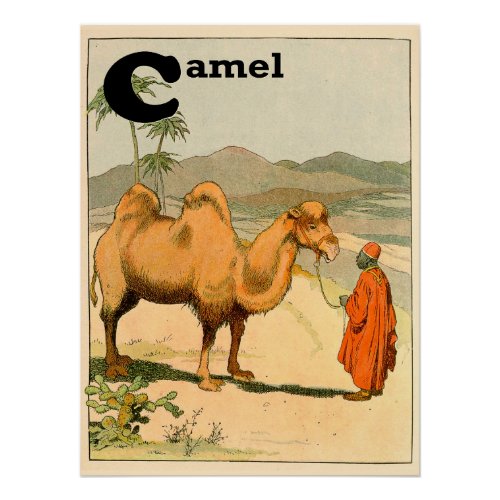 Bactrian Camel Alphabet Letter Poster