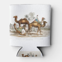 Bactrian Camel, Arabian Camel Or Dromedary, Dromed