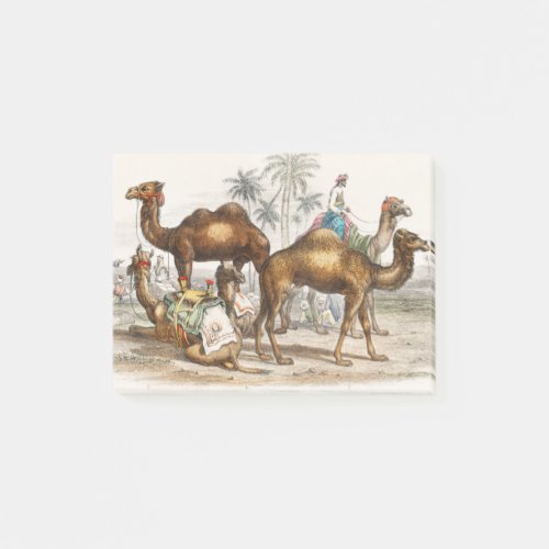 Bactrian Camel Arabian Camel Or Dromedary Dromed Post_it Notes