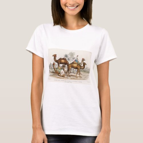 Bactrian Camel Arabian Camel Or Dromedary Dromed T_Shirt