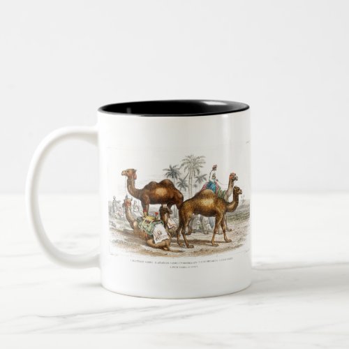 Bactrian Camel Arabian Camel Or Dromedary Dromed Two_Tone Coffee Mug