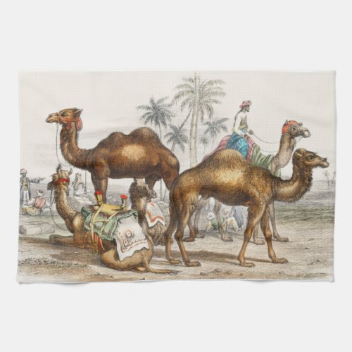 Bactrian Camel Arabian Camel Or Dromedary Kitchen Towel