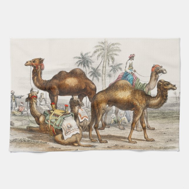 Bactrian Camel, Arabian Camel Or Dromedary Kitchen Towel (Horizontal)