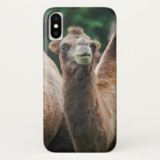 Bactrian Camel iPhone X Case