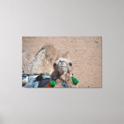 Bactrian Camel On The Silk Road Canvas Print