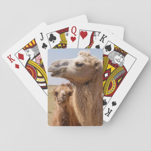 Bactrian Camel Portrait Playing Cards