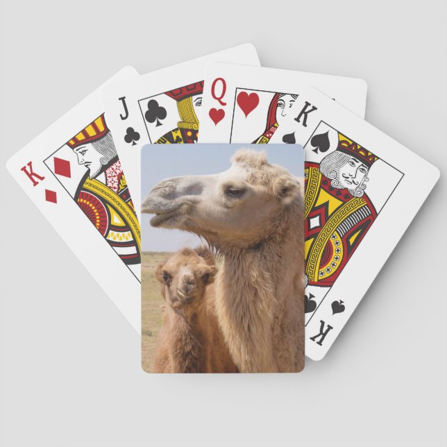 Bactrian Camel Portrait Poker Cards (Back)