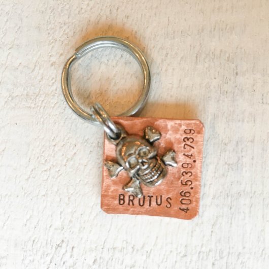 Bad Ass Skull & Crossbones Pet Tag (Front)