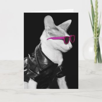 Bad Boy Cat In Shades Card by knichols1109 at Zazzle