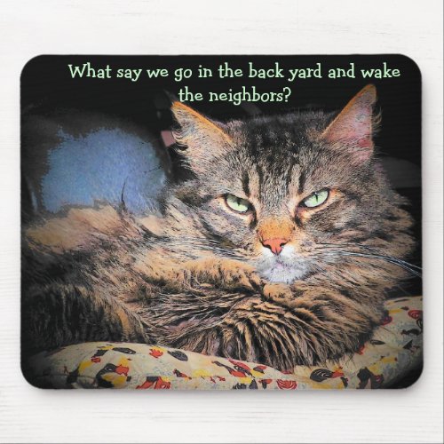 Bad Cat pick up lines 2 Mouse Pad