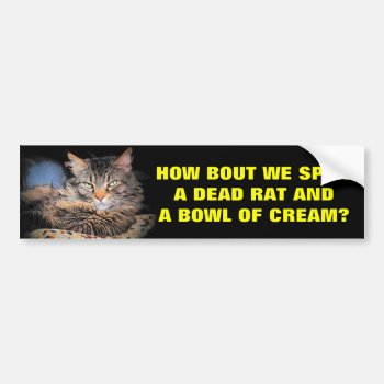 Bad Cat Pick Up Lines Dead Rat And Cream Bumper Sticker by talkingbumpers at Zazzle