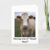 Bad Day Cow Card