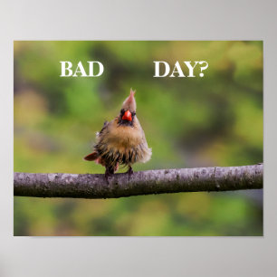 Bad Day? Poster