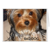 Bad Dog (Front Horizontal)