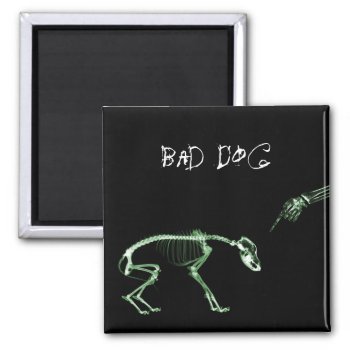 Bad Dog X-ray Skeleton In Green Magnet by VoXeeD at Zazzle