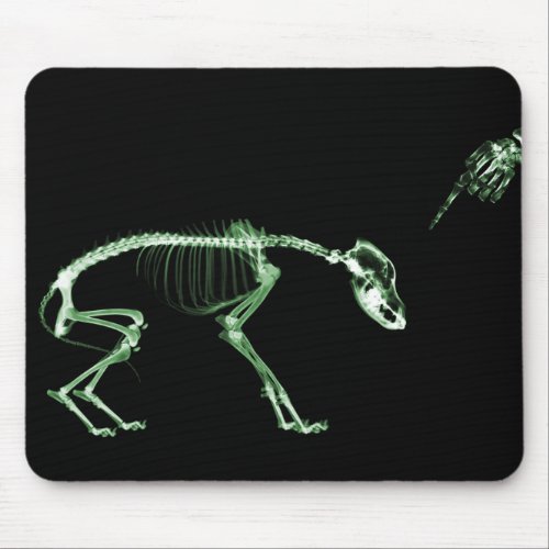 Bad Dog X_ray Skeleton in Green Mouse Pad