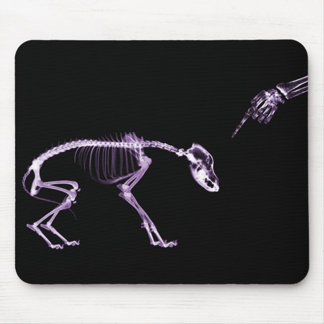 Bad Dog X-ray Skeleton in Purple Mouse Pad (Front)