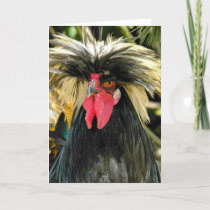 Bad Hair Chicken Photo Funny Birthday Card