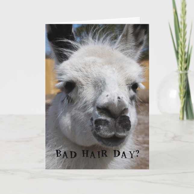 Bad Hair Day Card (Front)