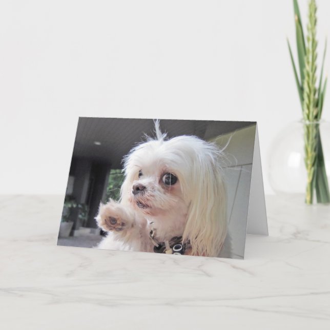 Bad Hair Day Card (Front)