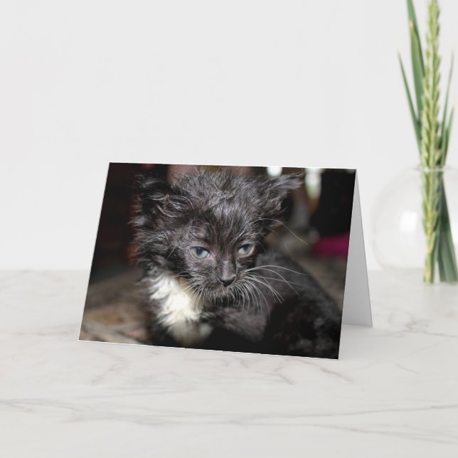 Bad Hair Day Card (Front)