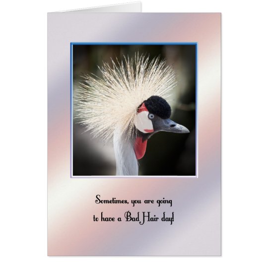 Bad hair day card for encouragement.