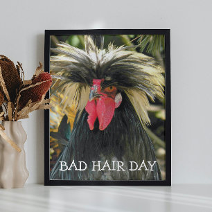 Bad Hair Day Chicken Meme Photo Print