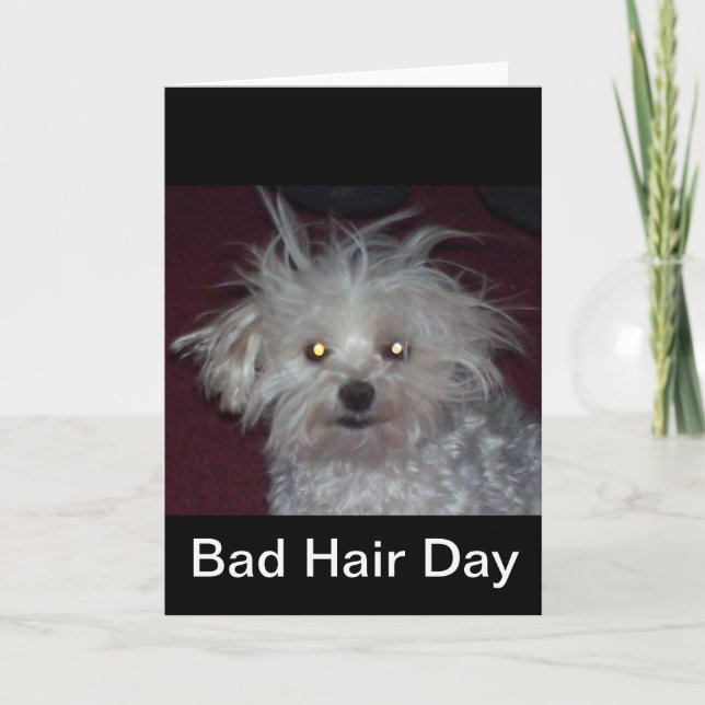 Bad Hair Day - Dog and People Humor Card (Front)