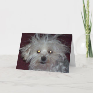 Bad Hair Day - Dog and People Humor Card