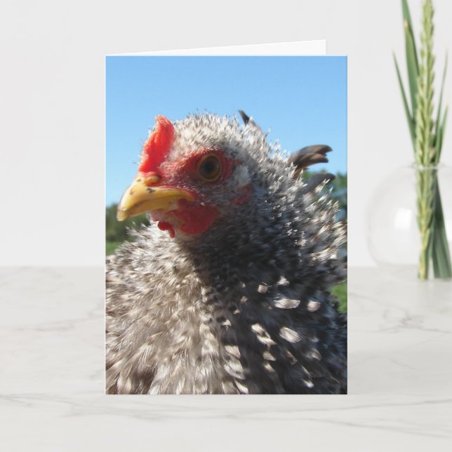 Bad Hair Day Sometimes Card (Front)