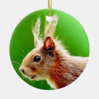 Bad hair day squirrel ceramic ornament