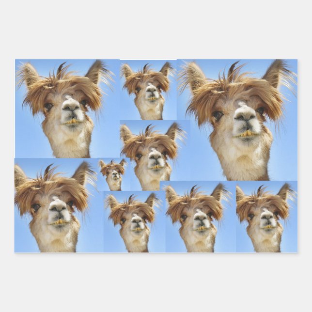 Bad Hair Day  Wrapping Paper Sheets (Front)