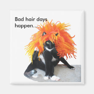 Bad hair days magnet