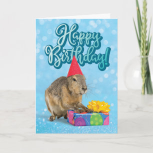 Bad "Hare" Day Belated Birthday Card