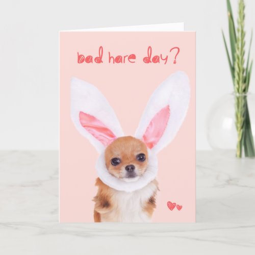 Bad Hare Day Chihuahua Easter card