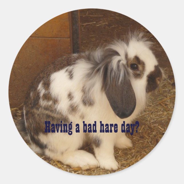 Bad Hare Day Stickers (Front)