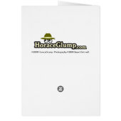 Bad Intentions Cards (Back)