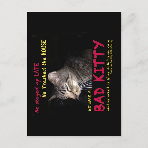 Bad Kitty Postcards