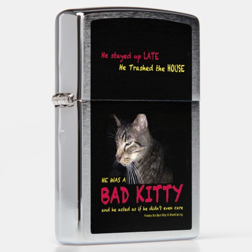 Bad Kitty Zippo Lighter