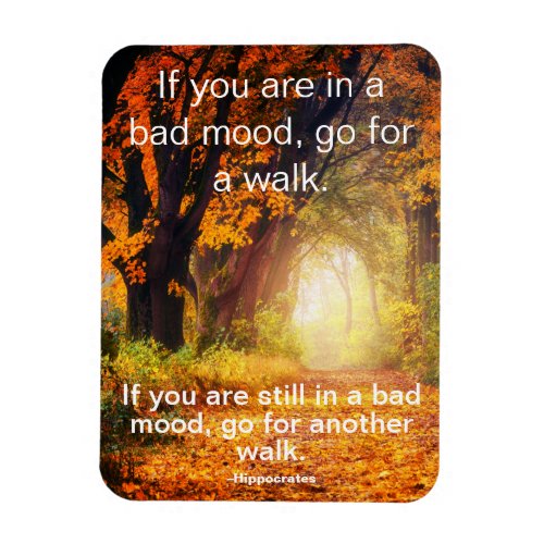 Bad Mood _ Go for a Walk Motivational Quote Magnet